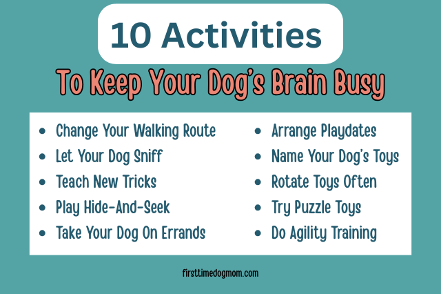 Infographic titled "10 Activities to Keep Your Dog’s Brain Busy" listing mental stimulation ideas like puzzle toys, new tricks, hide-and-seek, and agility training.