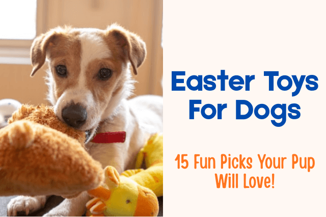 A small dog playing with plush toys for Easter, featuring a text overlay that reads "Easter Toys For Dogs: 15 Fun Picks Your Pup Will Love."