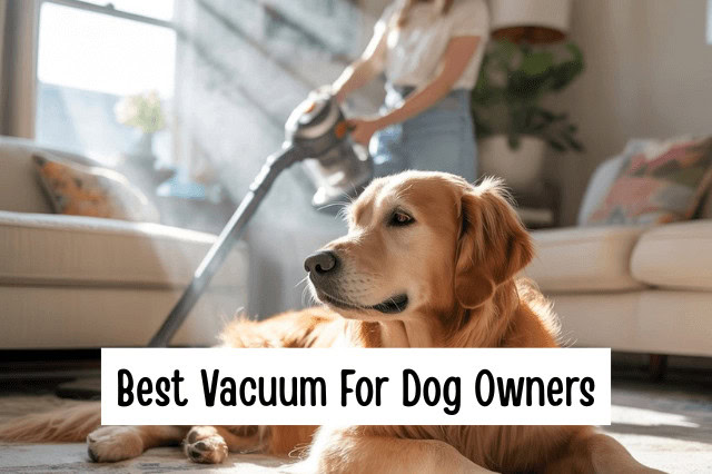 Best Vacuum For Dog Owners - A Golden Retriever lying on a carpeted floor while a woman is using an upright vacuum cleaner in the background.