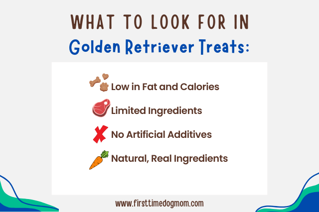 What to look for in Golden Retriever treats Infographic.