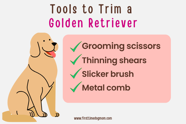Basic grooming tools for trimming a Golden Retriever at home, including scissors, thinning shears, brush, and comb.