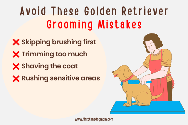 Common Golden Retriever grooming mistakes to avoid, including skipping brushing, trimming too much, shaving the coat, and rushing sensitive areas.