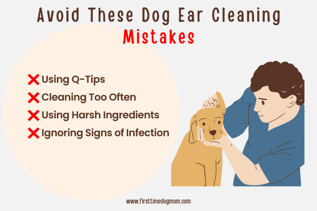 Dog ear cleaning mistakes to avoid including using Q-tips, cleaning too often, harsh ingredients, and ignoring signs of infection.