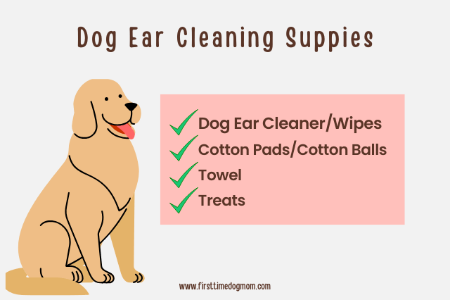Dog ear cleaning supplies including ear cleaner or wipes, cotton pads, a towel, and treats.