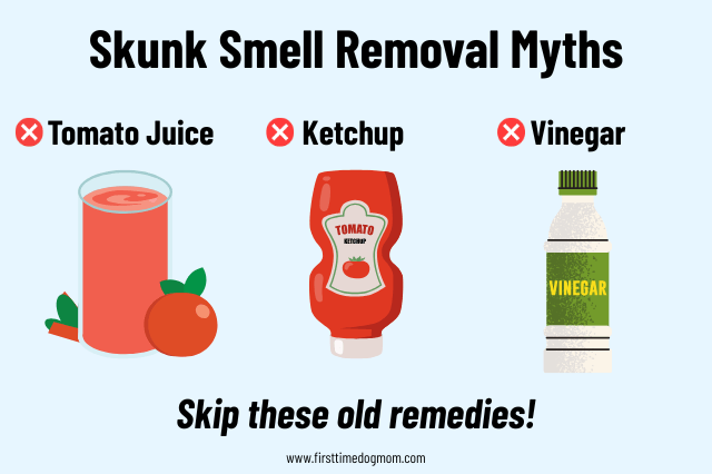 Skunk smell removal myths graphic showing tomato juice, ketchup, and vinegar with the message "Skip these old remedies."