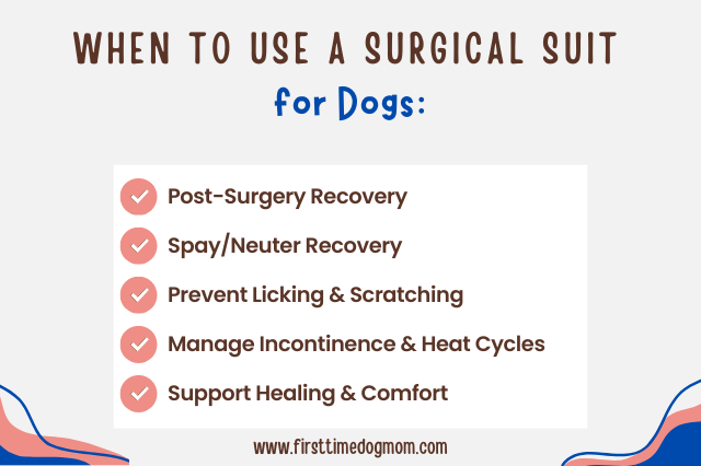 When To Use A Surgical Suit For Dogs Infographic.
