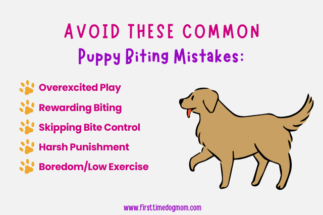 Graphic showing common mistakes that make Golden Retriever puppy biting worse, including overexcited play, rewarding biting, skipping bite inhibition, harsh punishment, and boredom.