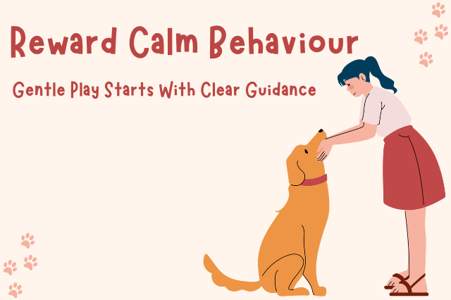 Woman rewarding a Golden Retriever puppy for calm behaviour during training.