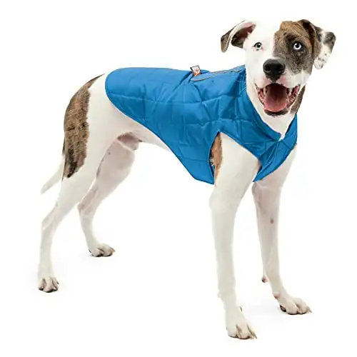 5 Best Cold Weather Dog Coats For Golden Retrievers First Time Dog Mom