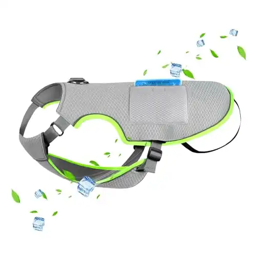 Do Cooling Vests Work On DoubleCoated Dogs? First Time Dog Mom