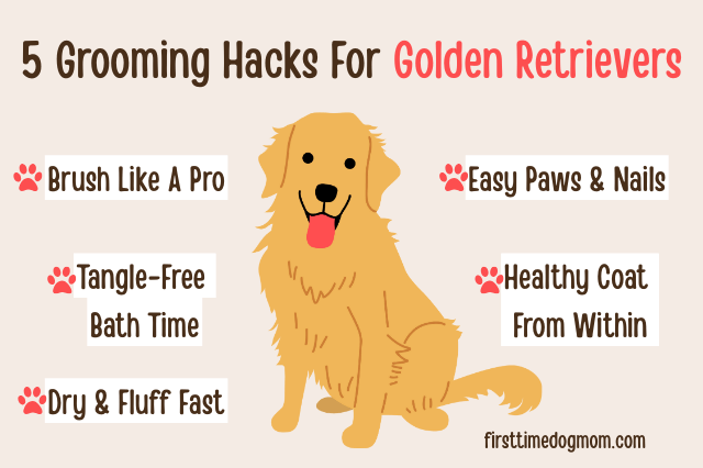 Graphic of a Golden Retriever with 5 grooming hacks for Golden Retrievers listed around the image.