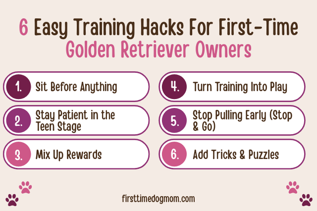 Graphic showing 6 training hacks for first-time Golden Retriever owners, including sit before anything, patience in the teen stage, mix rewards, turn training into play, stop pulling early, and add tricks and puzzles.