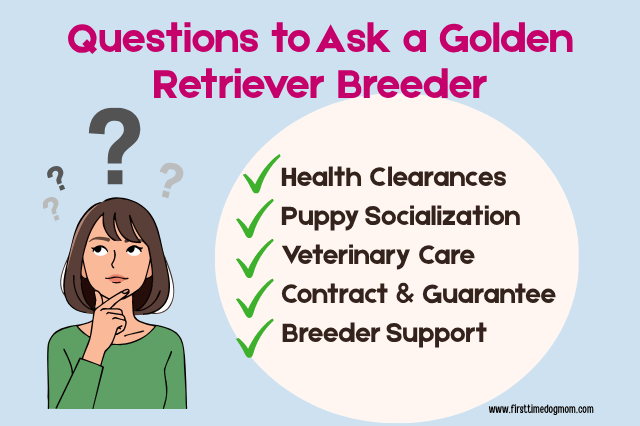 Graphic listing questions to ask a Golden Retriever breeder including health clearances, puppy socialization, veterinary care, contracts, and breeder support.