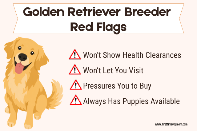 Graphic listing Golden Retriever breeder red flags including not showing health clearances, won't let you visit, pressures you to buy, and always has puppies available.